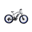 Электровелосипед El-sport bike TDE-08 500W миниатюра19
